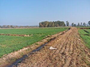 Plot Area in  Land at Ramnagar – for Sale