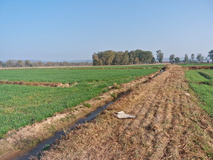 undefined, ramnagar Commercial Land 1 Acre In Ramnagar Nainital 9211055