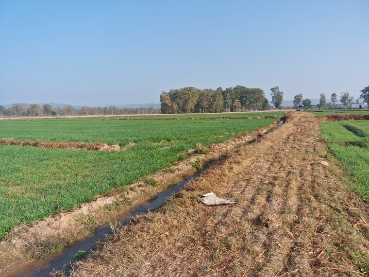 undefined, ramnagar Commercial Land 1 Acre In Ramnagar Nainital 9211055