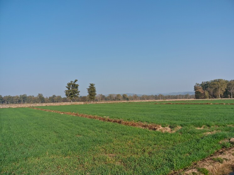 undefined, ramnagar Commercial Land 1 Acre In Ramnagar Nainital 9211055