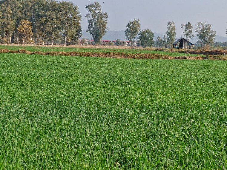 Garden, ramnagar Commercial Land 1 Acre In Ramnagar Nainital 9211055