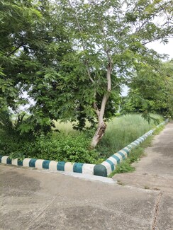 Plot For Sale in Bithoor
