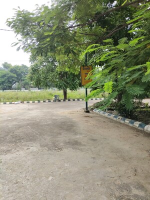  Plot – Exterior View View at Bithoor - for Sale