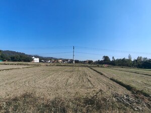 Plot Area in  Plot at Ramnagar – for Sale