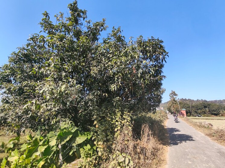 Exterior View, ramnagar  1000 Sq.Ft. Plot In Ramnagar Nainital 9075183