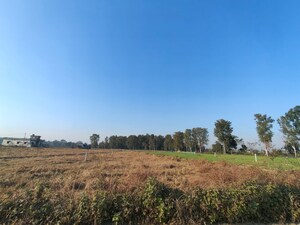 Plot Area in  Land at Ramnagar – for Sale