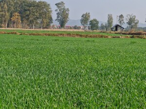  Land – Garden View at Ramnagar - for Sale