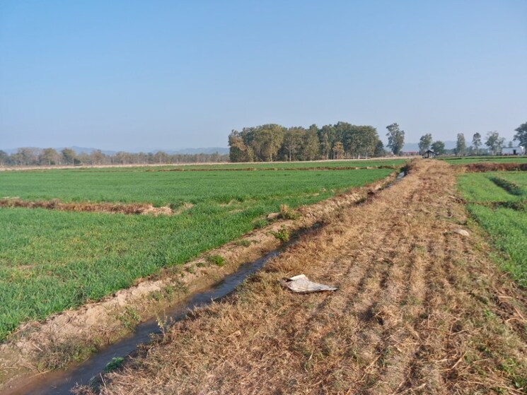 undefined, ramnagar Commercial Land 43560 Sq.Ft. In Ramnagar Nainital 9211565