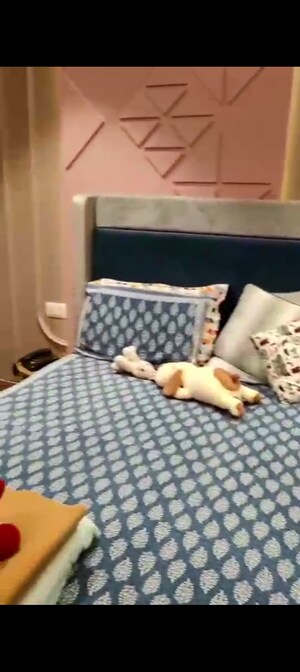 Bedroom in 2 BHK Apartment at Ace Divino, Sector 1 Greater Noida – for Sale