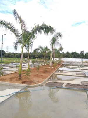  Plot – Exterior View View at SBM Sunrise Homes, Marsur - for Sale