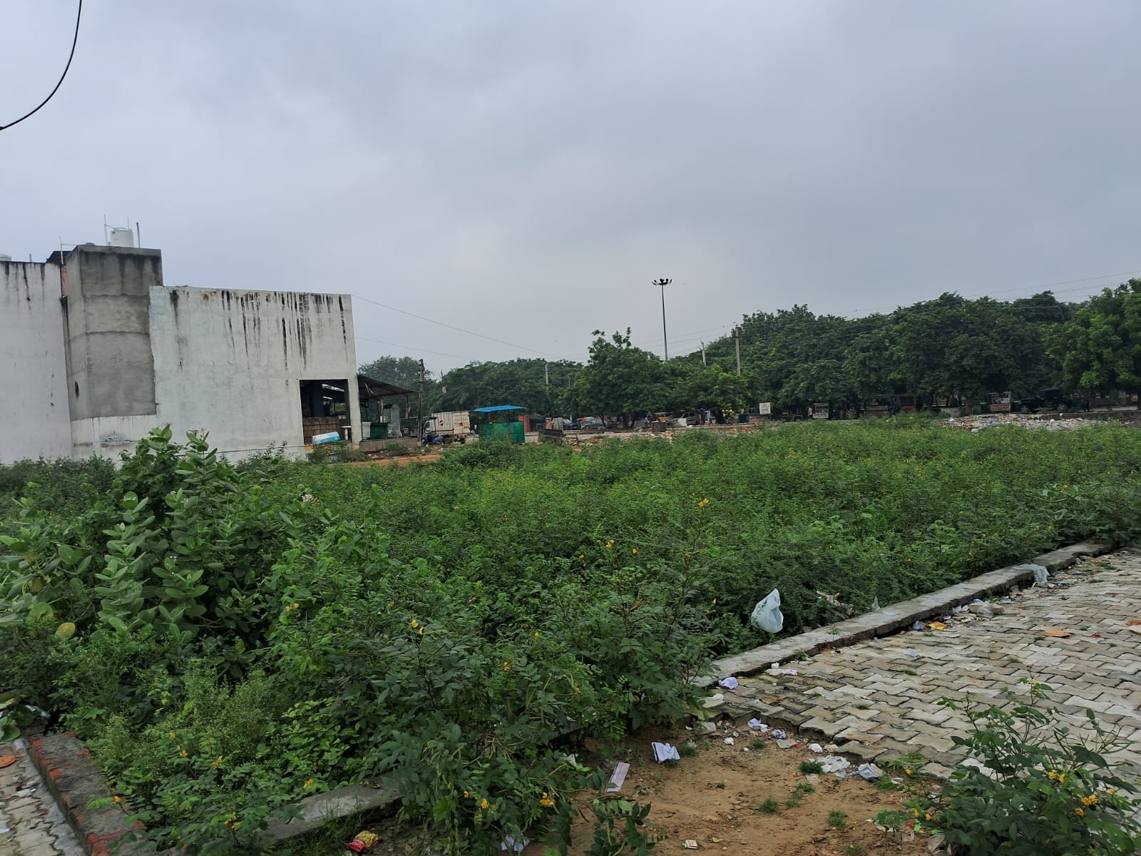 Plot For Sale in Sector 115