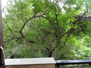 2 BHK Builder Floor – Exterior View View at Green Park - for Rent