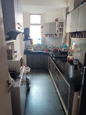 Kitchen in 2 BHK Apartment at DLF Silver Oaks, Sector 26 – for Rent