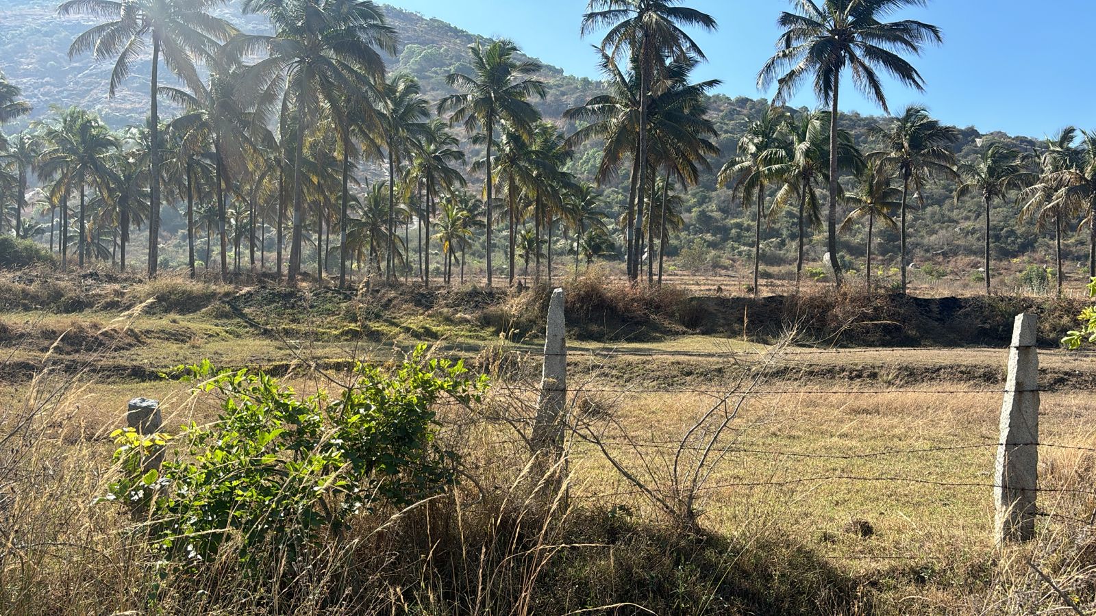 Plot For Sale in Jayamahal