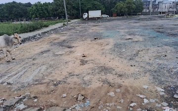Plot For Sale in Sector 115