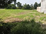 500 Sq.Yd. Plot in Omaxe New Chandigarh