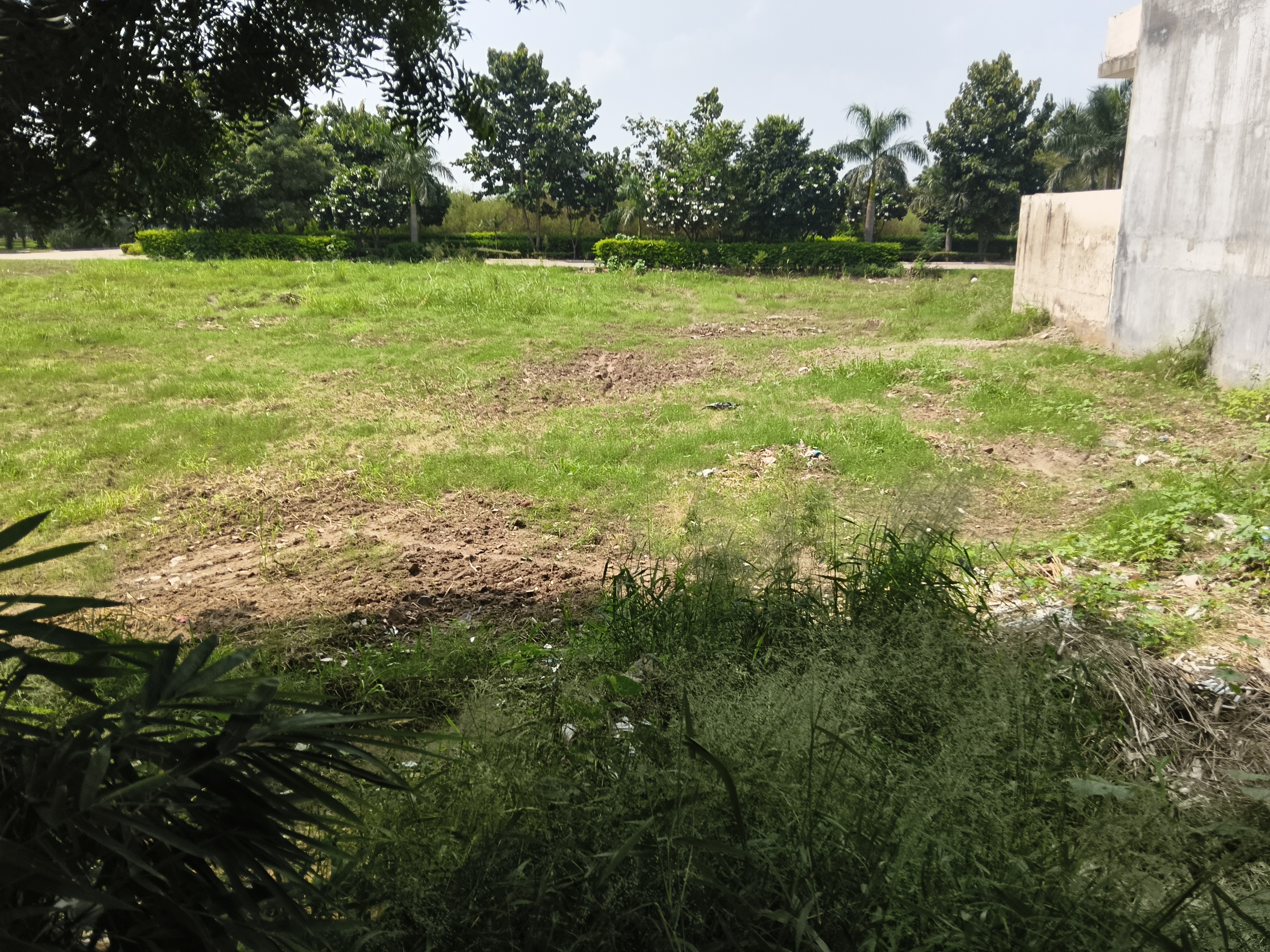 Plot For Sale in Omaxe New Chandigarh