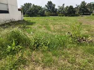 Plot Area in  Plot at Omaxe New Chandigarh, North Mullanpur – for Sale