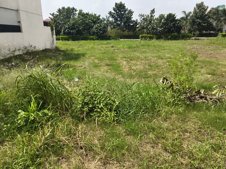 undefined, omaxe-new-chandigarh  500 Sq.Yd. Plot In North Mullanpur Chandigarh 9212077
