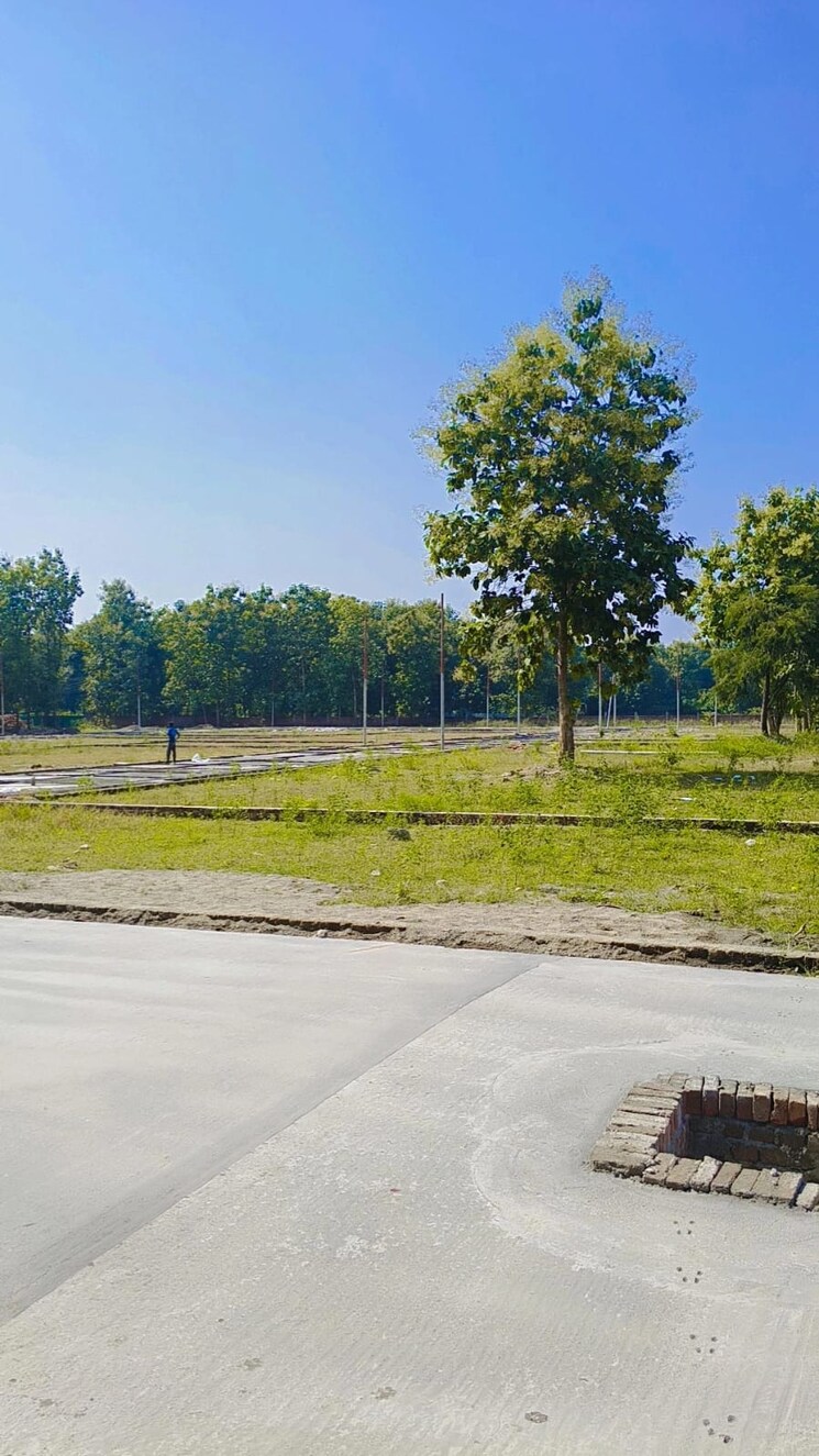 undefined, paundha  100 Sq.Yd. Plot In Paundha Dehradun 9212064