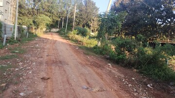  Plot For Sale in Devanahalli