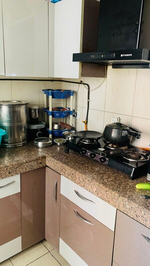 Gym in 1 RK Apartment at Arun Vihar Sector 37, Sector 37 – for Rent