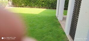 3 BHK Villa For Rent in Godrej Golf Link Villas, Sector 27 Yamuna Expressway