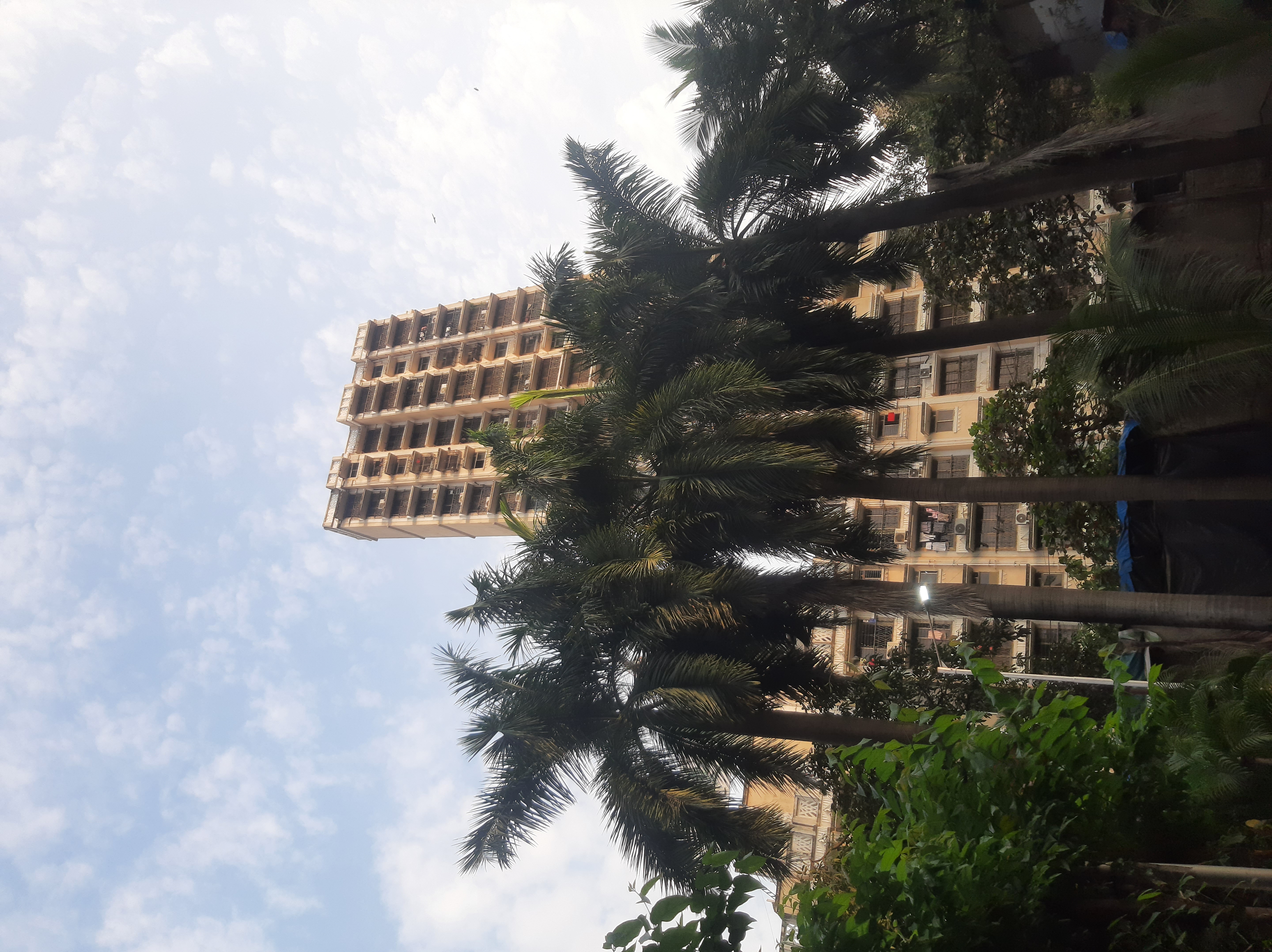 1 BHK + Extra Room Apartment For Rent in Tolaram Kukreja Gardens