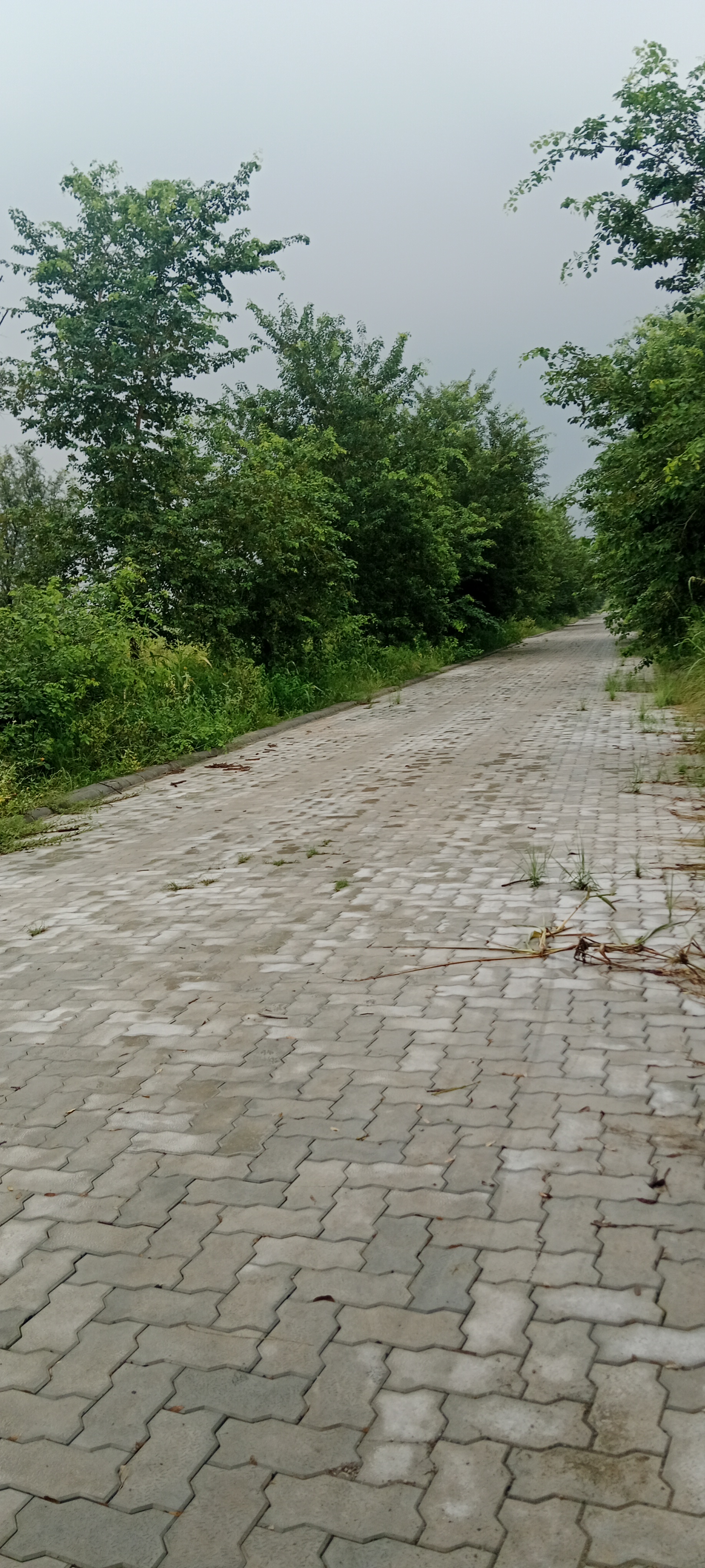 Plot For Sale in Trimurty The Future City