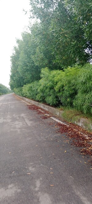  Plot – Garden View at Trimurty The Future City, Amarpura - for Sale