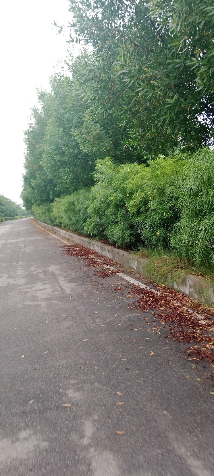 Garden, trimurty-the-future-city  1000 Sq.Yd. Plot In Amarpura Jaipur 9212984