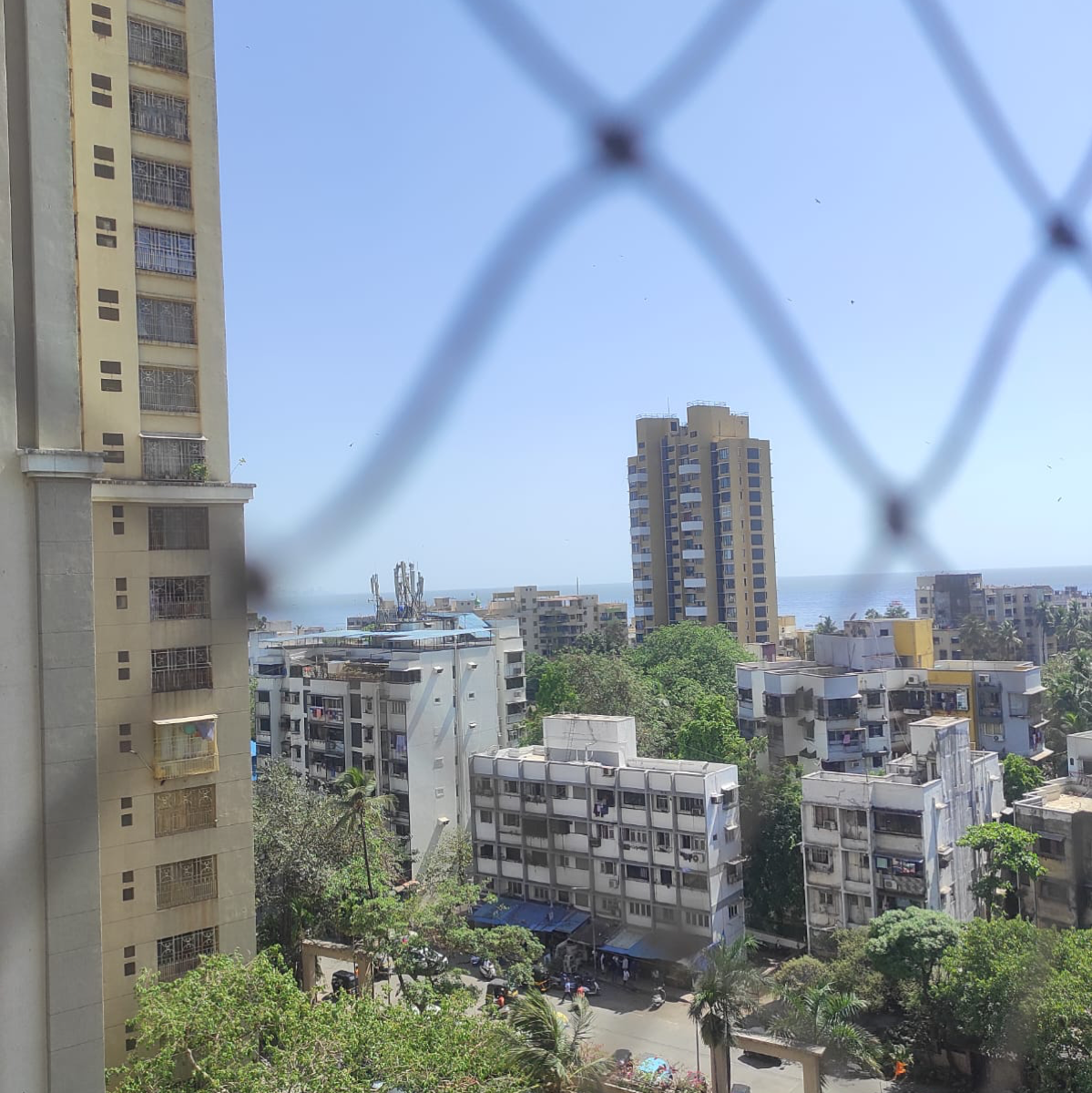 2 BHK 1137 Sq.Ft. Apartment in Pearl Heights