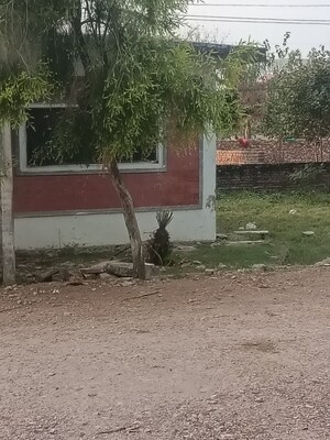 Plot Area in  Plot at Knowledge Park Ii Greater Noida – for Sale