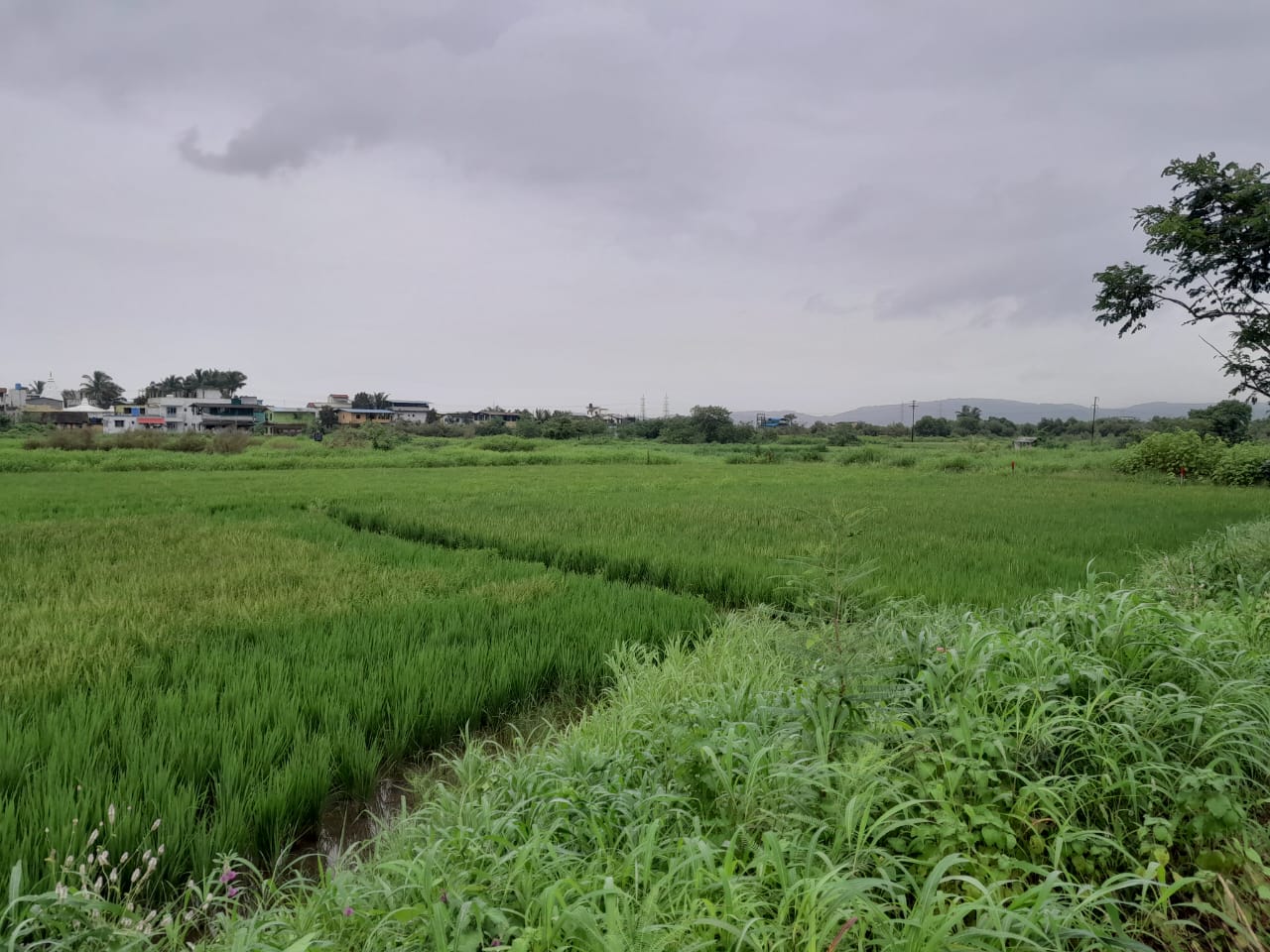 Land For Sale in CBD Belapur Sector 15