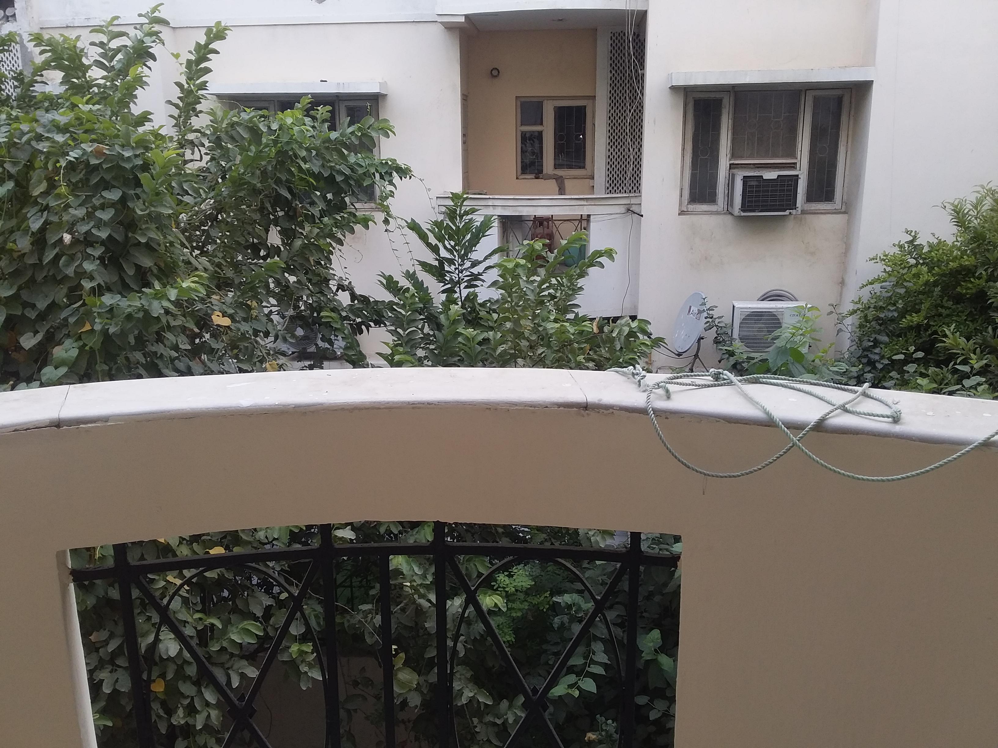 3 BHK 1245 Sq.Ft. Apartment in Eldeco Residency Greens