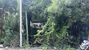 Plot Area in  Plot at Madinaguda – for Sale