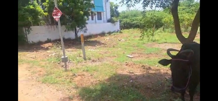 undefined, srinivasa nagar  1800 Sq.Ft. Plot In Srinivasa Nagar Trichy 9213483