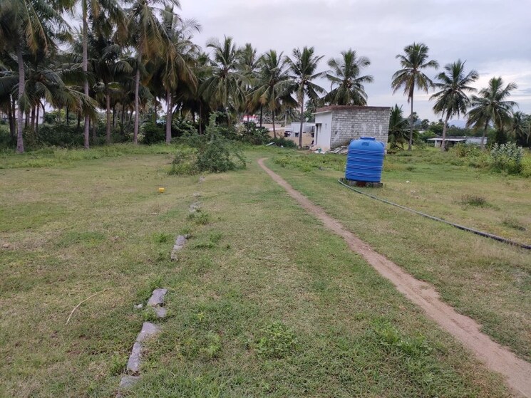Garden, edappadi  1200 Sq.Ft. Plot In Edappadi Salem 9178091
