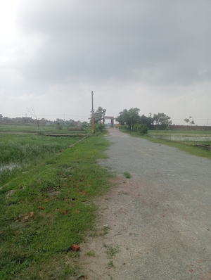 Plot Area in  Plot at Ramnagar – for Sale