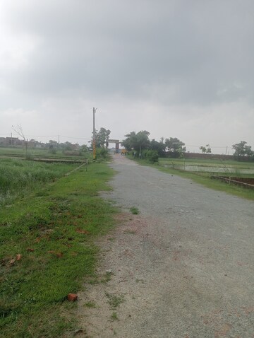Plot Area in  Plot at Ramnagar – for Sale