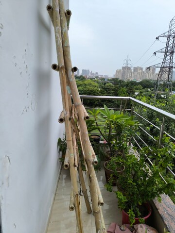 Balcony in 3 BHK Builder Floor at Palam Vihar – for Sale