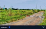 1300 Sq.Yd. Plot in Patrapada
