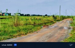 Plot For Sale in Patrapada