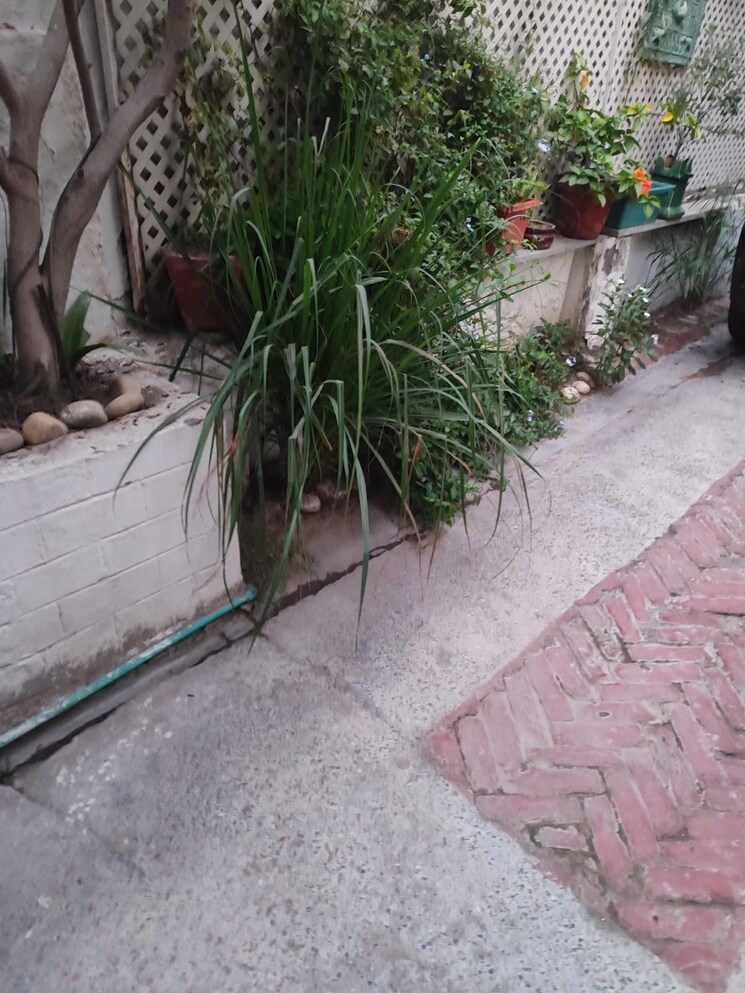 Balcony, rwa-apartments-sector-30 Studio 380 Sq.Ft. Villa In Sector 30 Noida 9214127