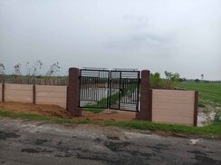 Plot For Sale in Dhankot
