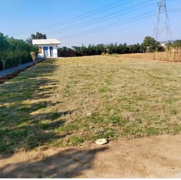 Plot Area in  Plot at Dhankot – for Sale