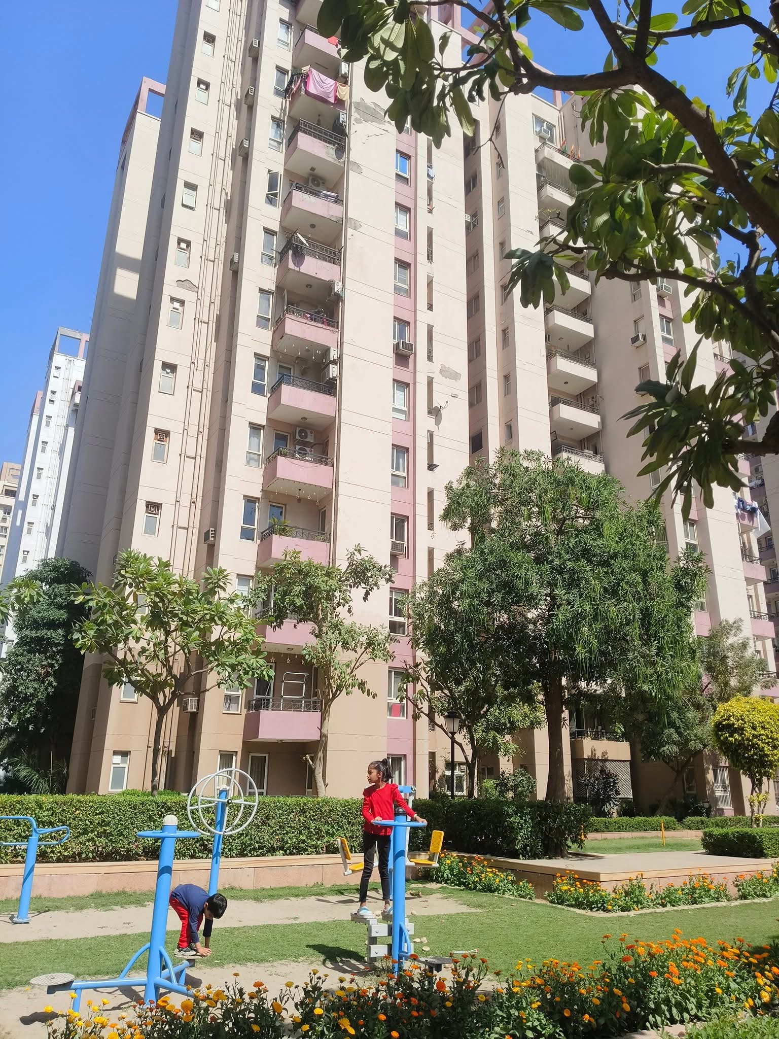 3 BHK Apartment For Sale in Orchid Petals