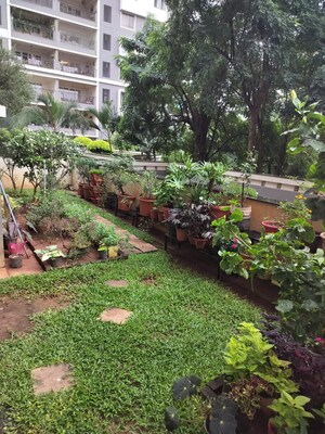 3 BHK Apartment – Garden View at Sobha Petunia, Nagavara - for Rent