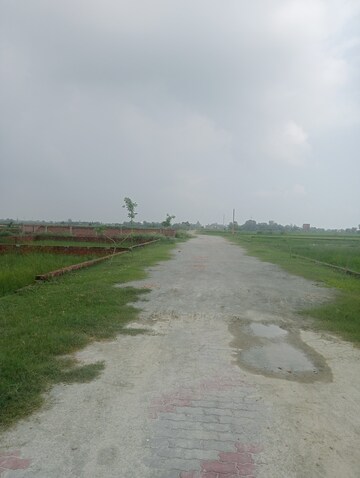Plot Area in  Plot at Ramnagar – for Sale