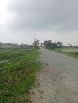 Plot Area in  Plot at Ramnagar – for Sale